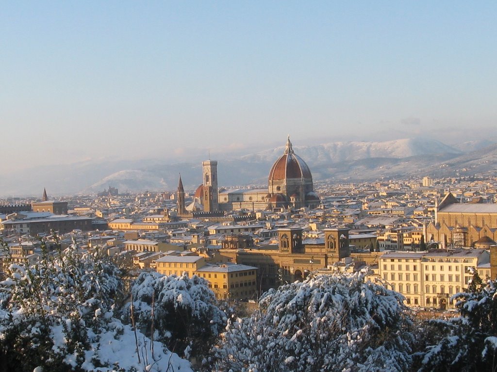 Insolita Firenze