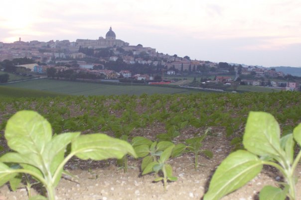 Marche: Loreto e dintorni