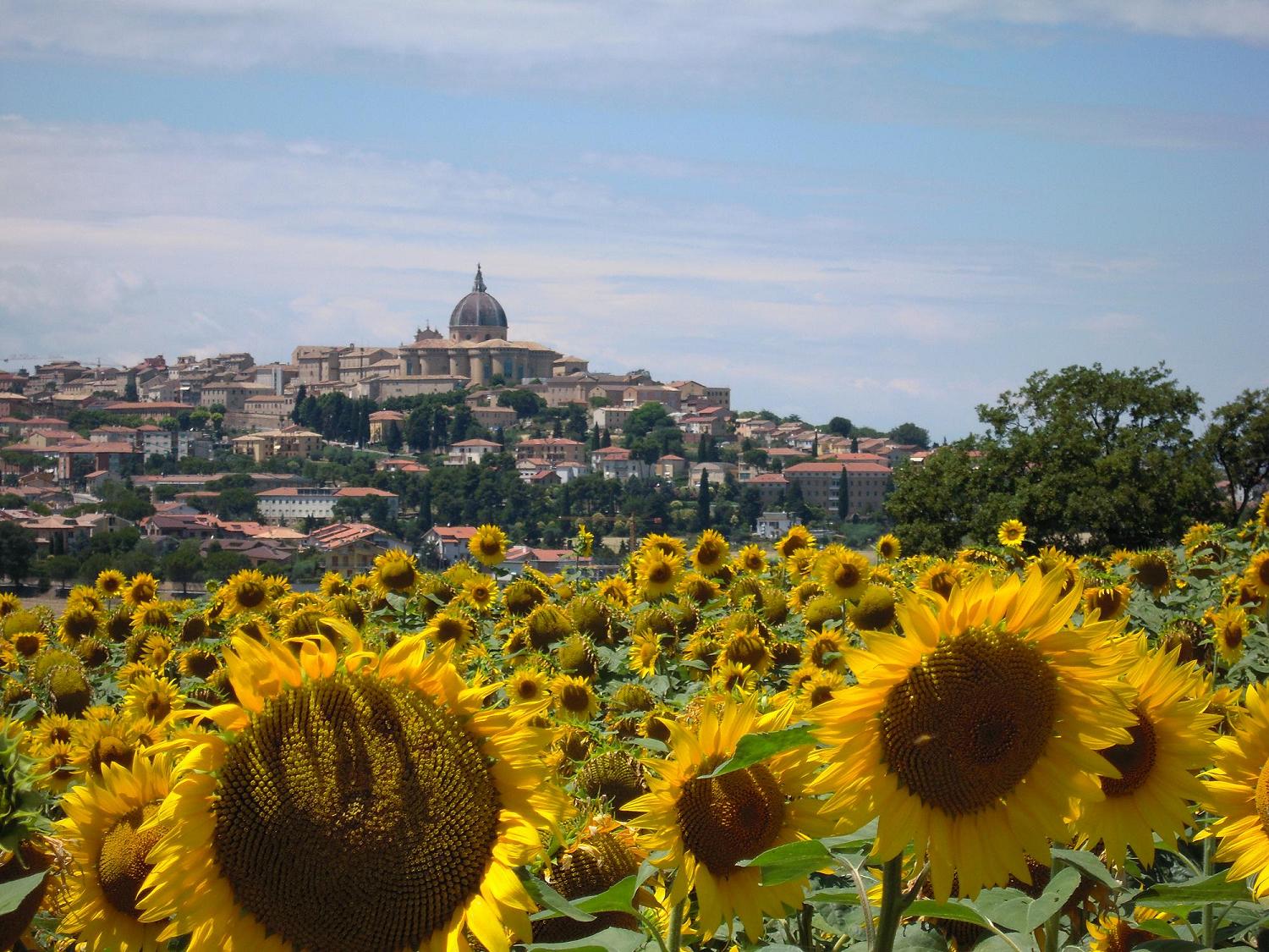 Marche: Loreto e dintorni