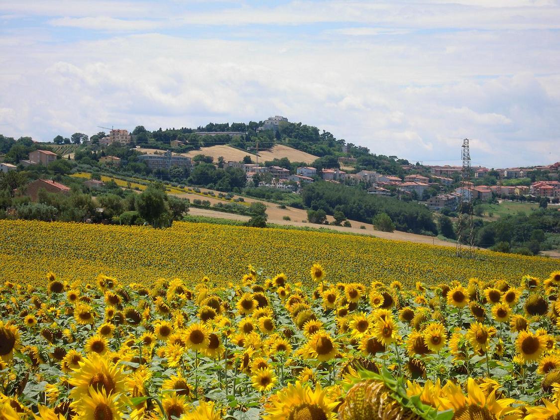 Marche: Loreto e dintorni