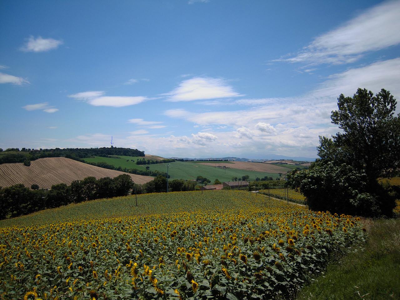 Marche: Loreto e dintorni