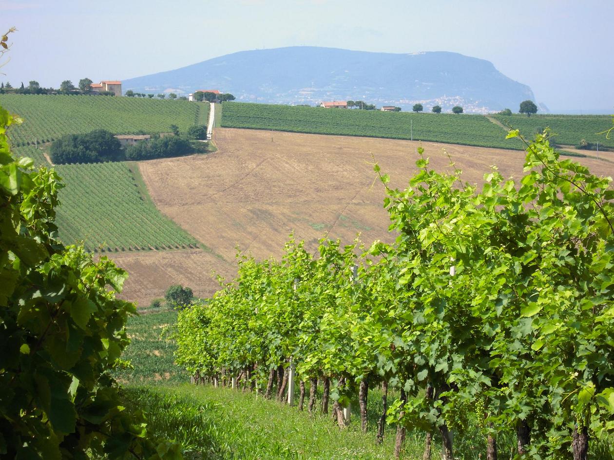 Marche: Loreto e dintorni