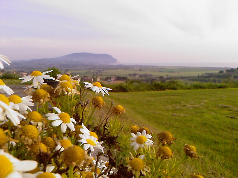 Marche: Loreto e dintorni