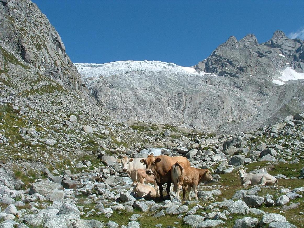 Rifugi e Bivacchi d''Italia.......