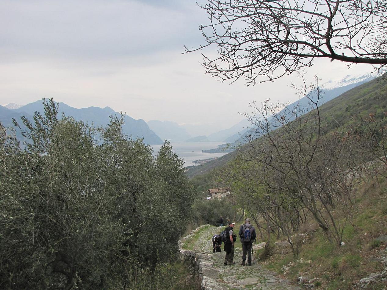 Domenica 5/4 Lago di Garda per orchidee (ex 29/3)