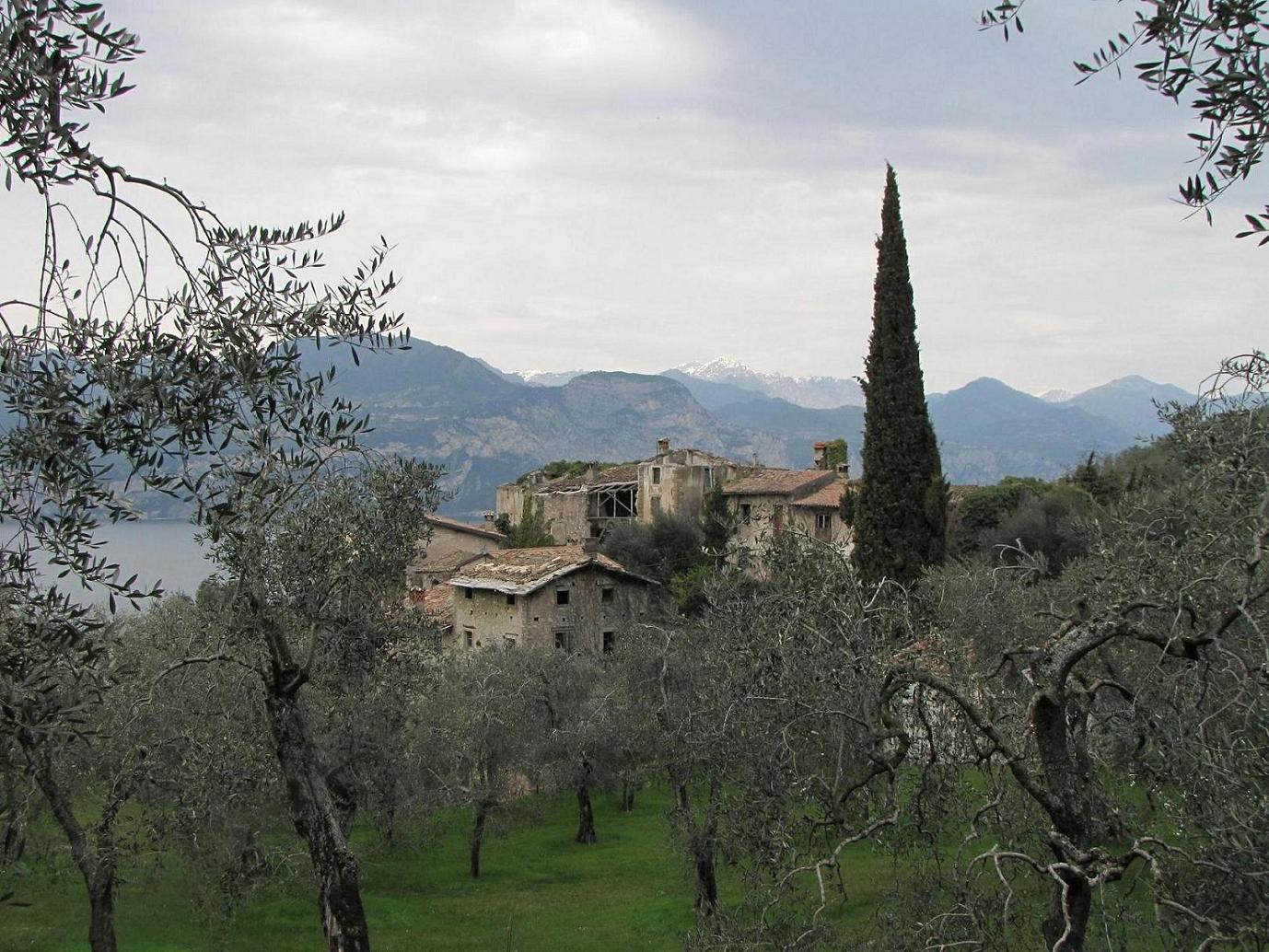 Domenica 5/4 Lago di Garda per orchidee (ex 29/3)