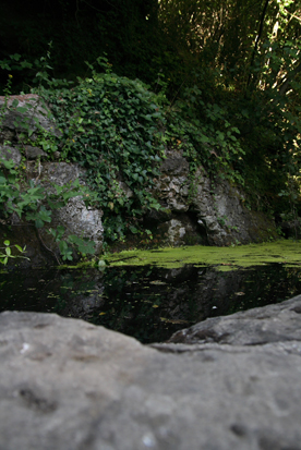 Fontanili del Lazio