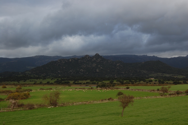 Monte Acuto - Sardegna (SS)