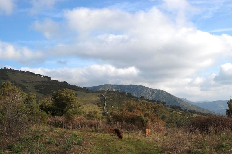 Escursione alla vedetta di P.ta Sa Chigantola