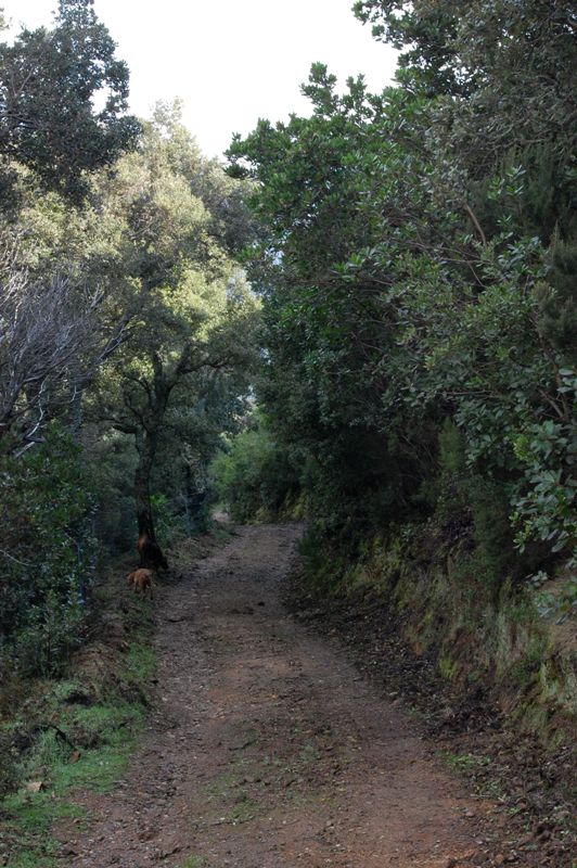 Escursione alla vedetta di P.ta Sa Chigantola