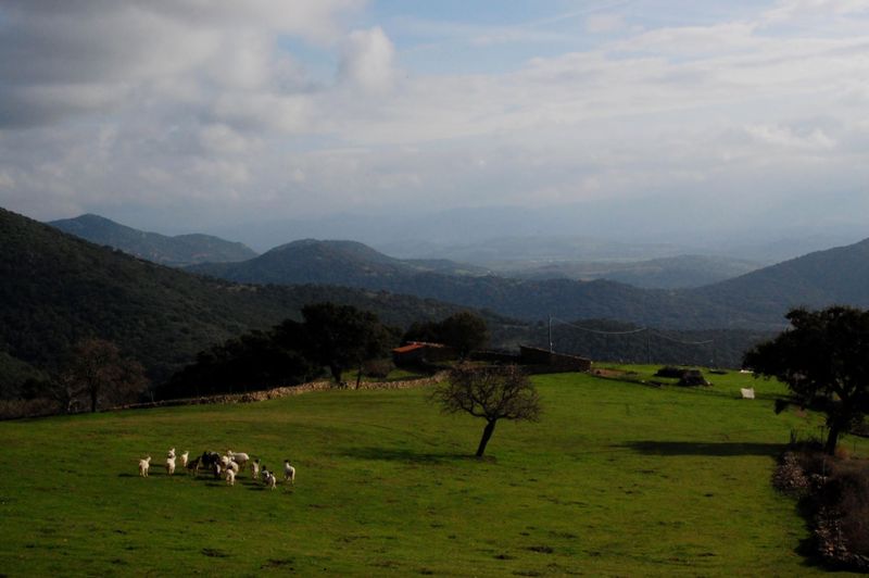 Escursione alla vedetta di P.ta Sa Chigantola