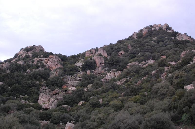 Monte Acuto - Sardegna (SS)
