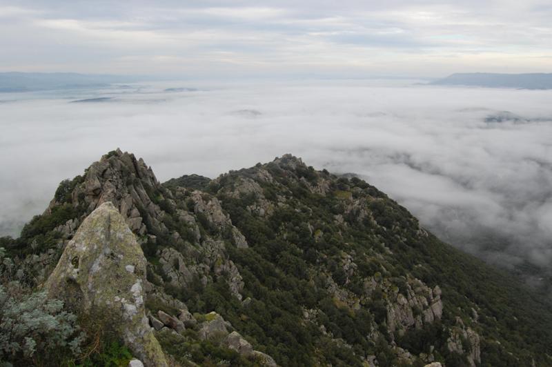 Monte Acuto - Sardegna (SS)