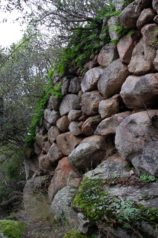 Monte Acuto - Sardegna (SS)