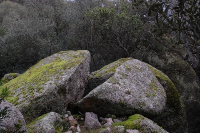 Monte Acuto - Sardegna (SS)