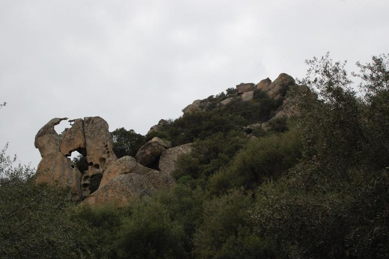 Monte Acuto - Sardegna (SS)