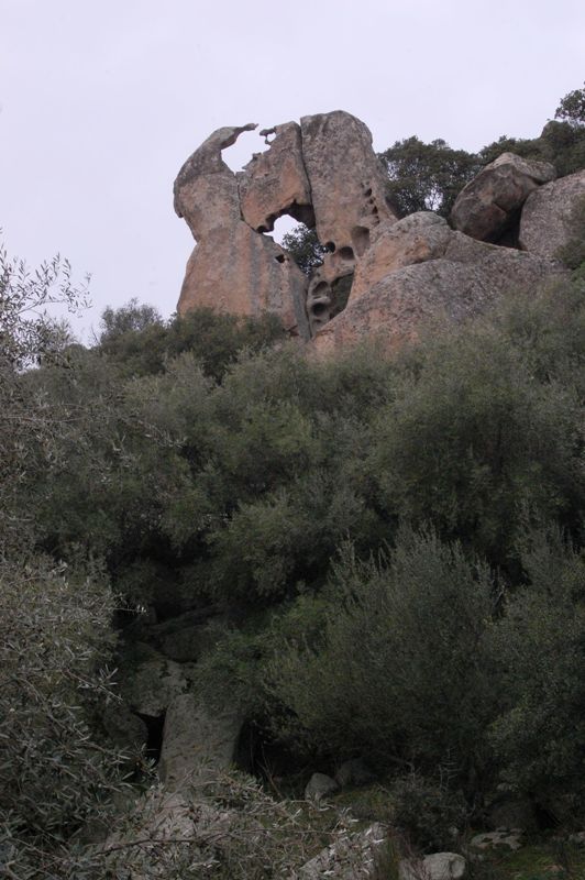 Monte Acuto - Sardegna (SS)