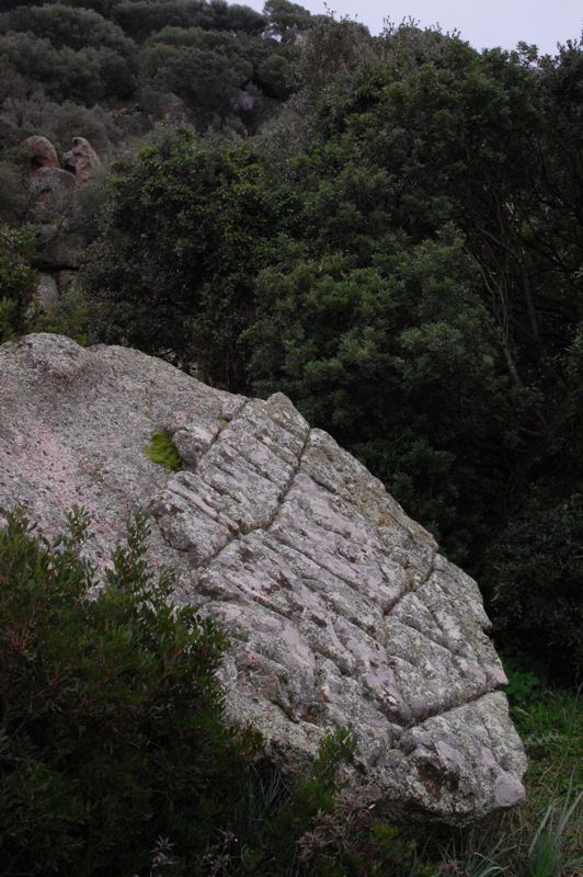 Monte Acuto - Sardegna (SS)