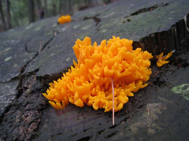 Ritrovamenti di fine settembre