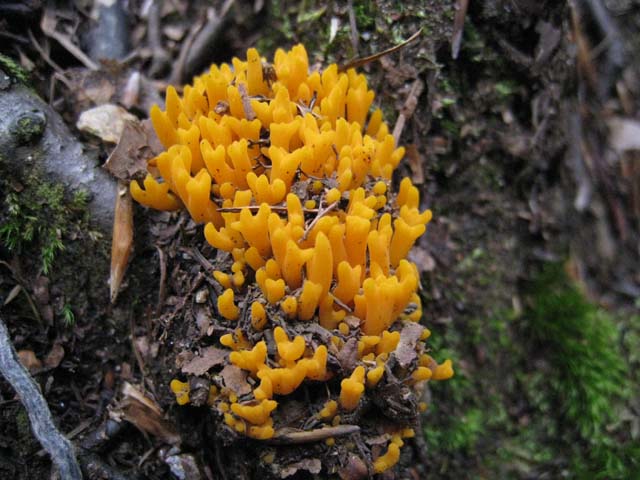 Ritrovamenti di fine settembre