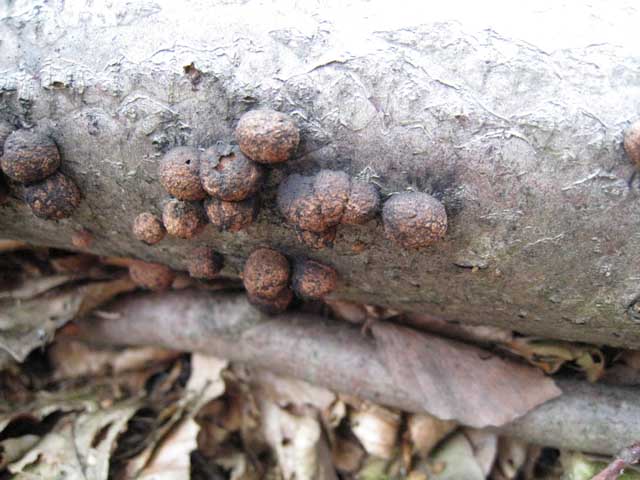 Ritrovamenti di fine settembre