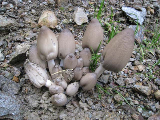 Ritrovamenti di fine settembre