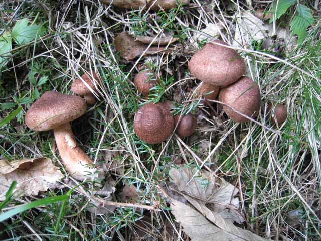 Ritrovamenti di fine settembre