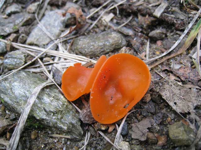 Ritrovamenti di fine settembre