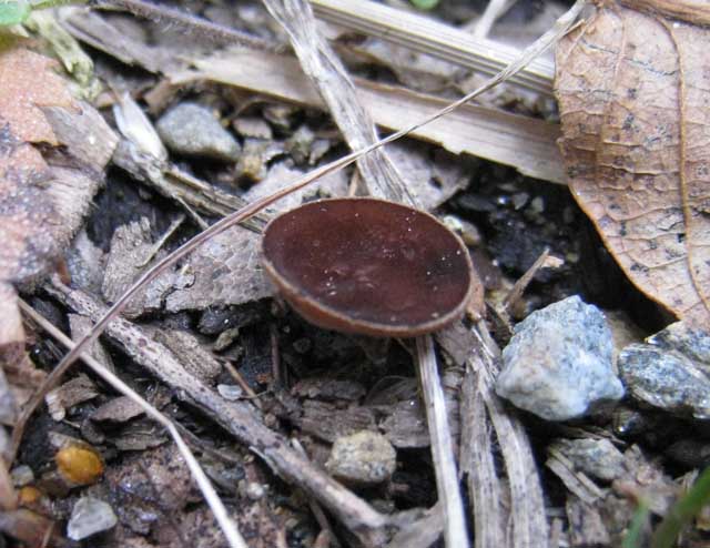 Ritrovamenti di fine settembre