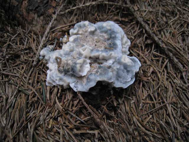 Ritrovamenti di fine settembre