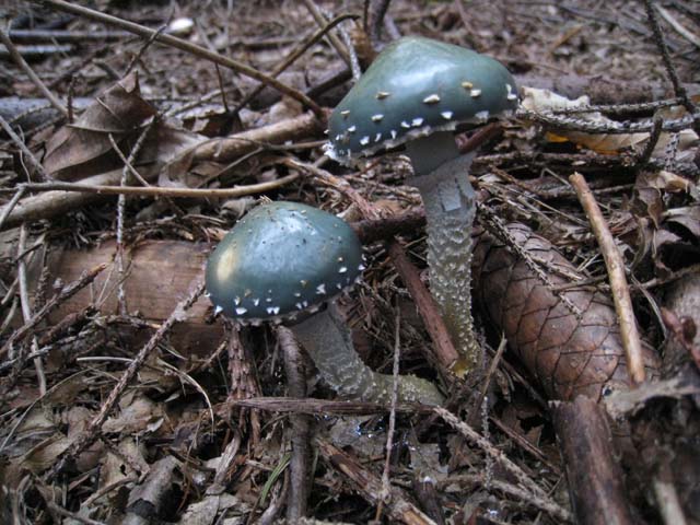 Ritrovamenti di fine settembre