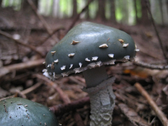 Ritrovamenti di fine settembre