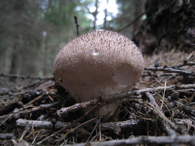 Ritrovamenti di fine settembre