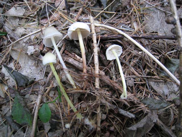 Ritrovamenti di fine settembre