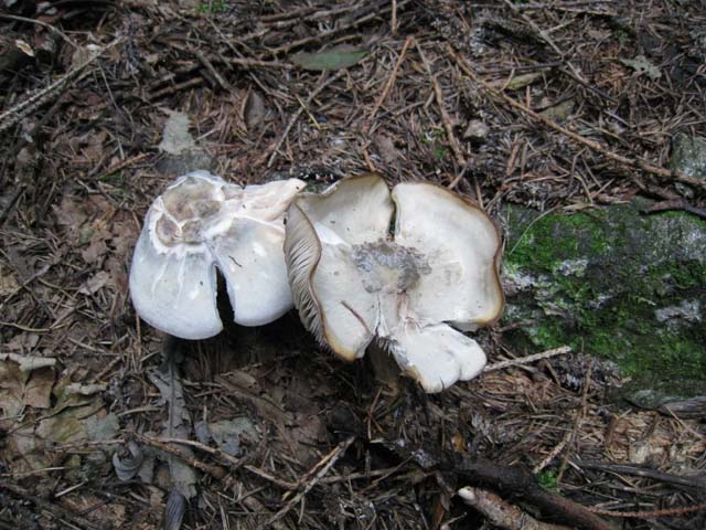 Ritrovamenti di fine settembre