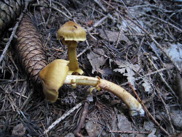 Ritrovamenti di fine settembre