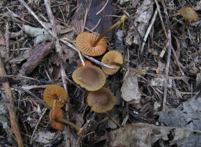 Ritrovamenti di fine settembre