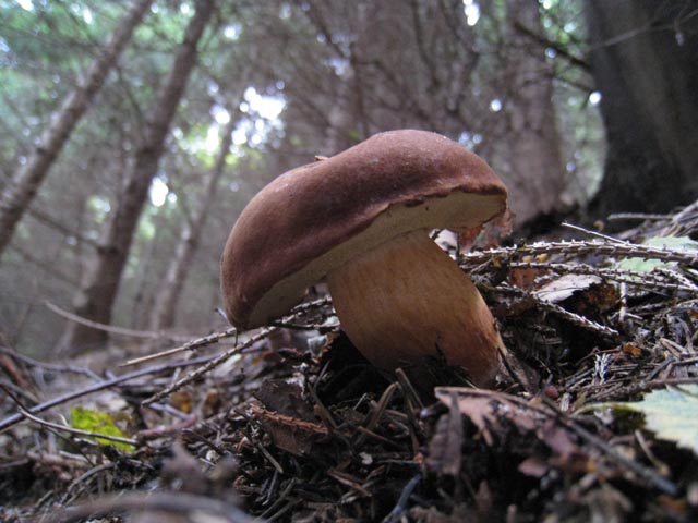 Ritrovamenti di fine settembre