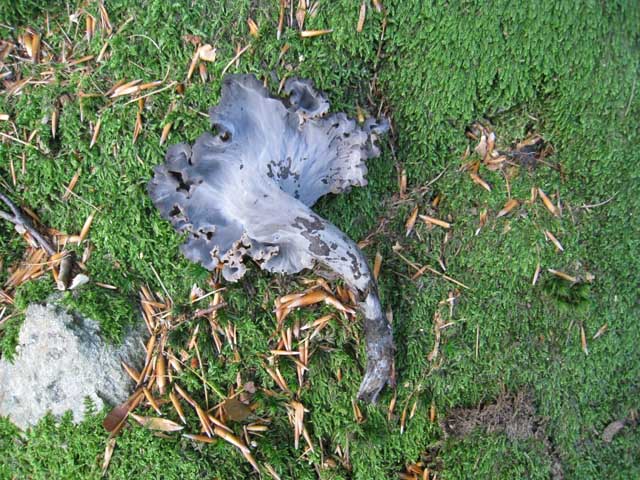 Ritrovamenti di fine settembre