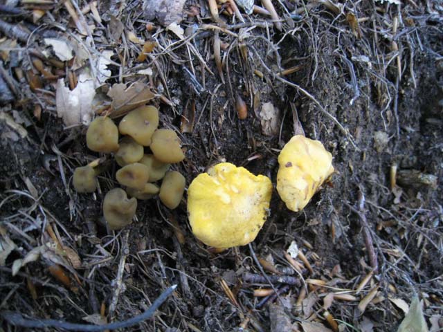 Ritrovamenti di fine settembre