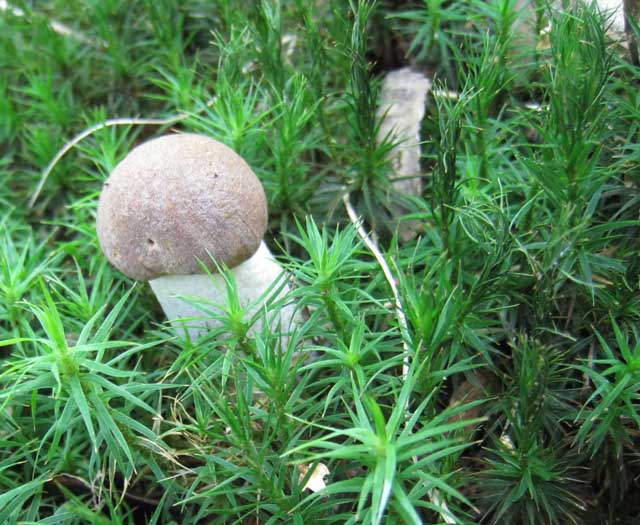 Ritrovamenti di fine settembre