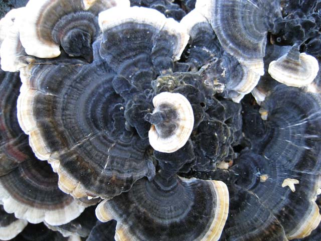 Ritrovamenti di fine settembre