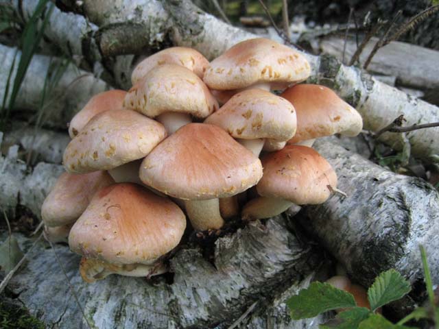 Ritrovamenti di fine settembre