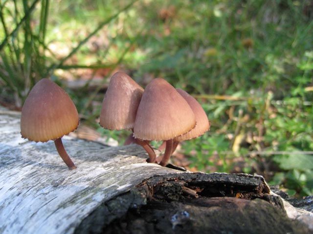 Ritrovamenti di fine settembre