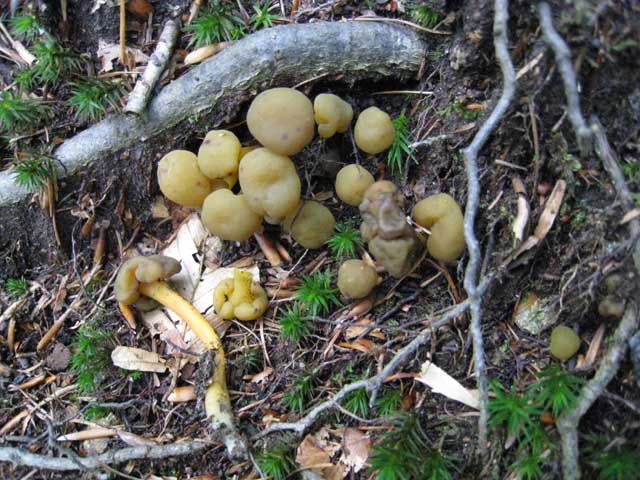 Ritrovamenti di fine settembre