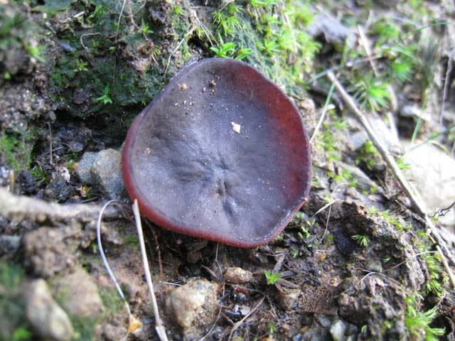 Ritrovamenti di fine settembre