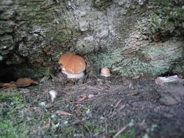 Ritrovamenti di fine settembre