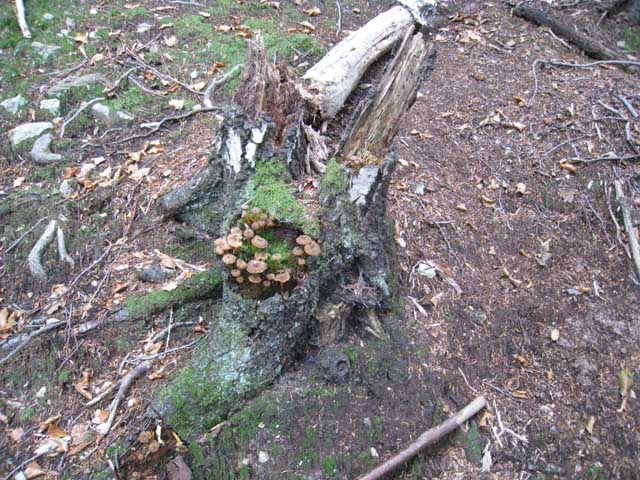 Ritrovamenti di fine settembre