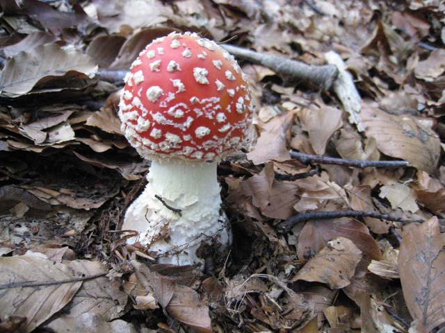 Ritrovamenti di fine settembre