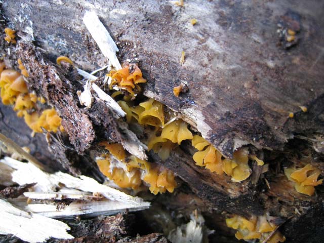 Ritrovamenti di fine settembre